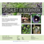 Gallery Groene Tuin